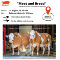 Meet and Breed (3)